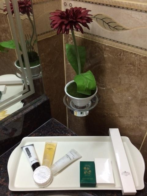 Doha Dynasty Hotel Room photo